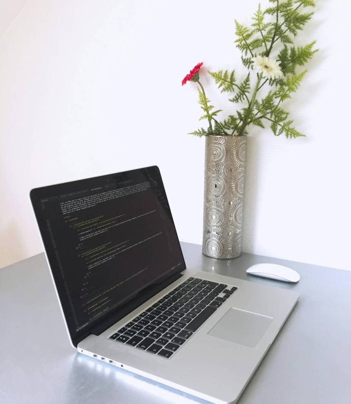 pexels-madeon08-102061